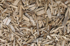 biomass boilers Cuckoos Knob